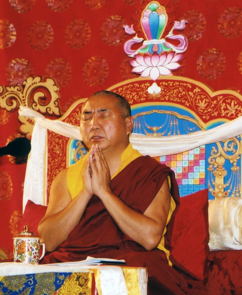 Jewel Treasure of the Dharmadhatu: Choying Dzod Teachings ~ Digital Audio