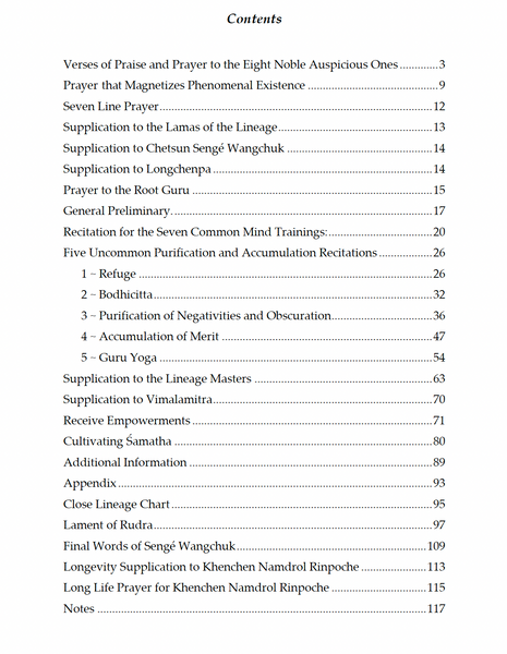 Chetsun Nyingtig One-Month Retreat Manual ~ Practice Text