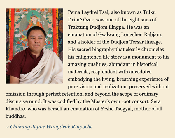 The Life and Liberation of Tulku Drime Ozer ~ Book