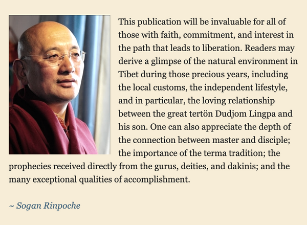 The Life and Liberation of Tulku Drime Ozer ~ Book